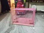 Bird's cage