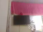 Hair led43inch