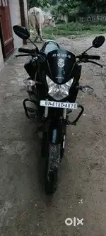 New Bike purchase