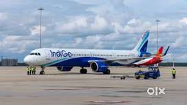 Apply now hiring for indigo Airlines Vacancy driver/Computer operator