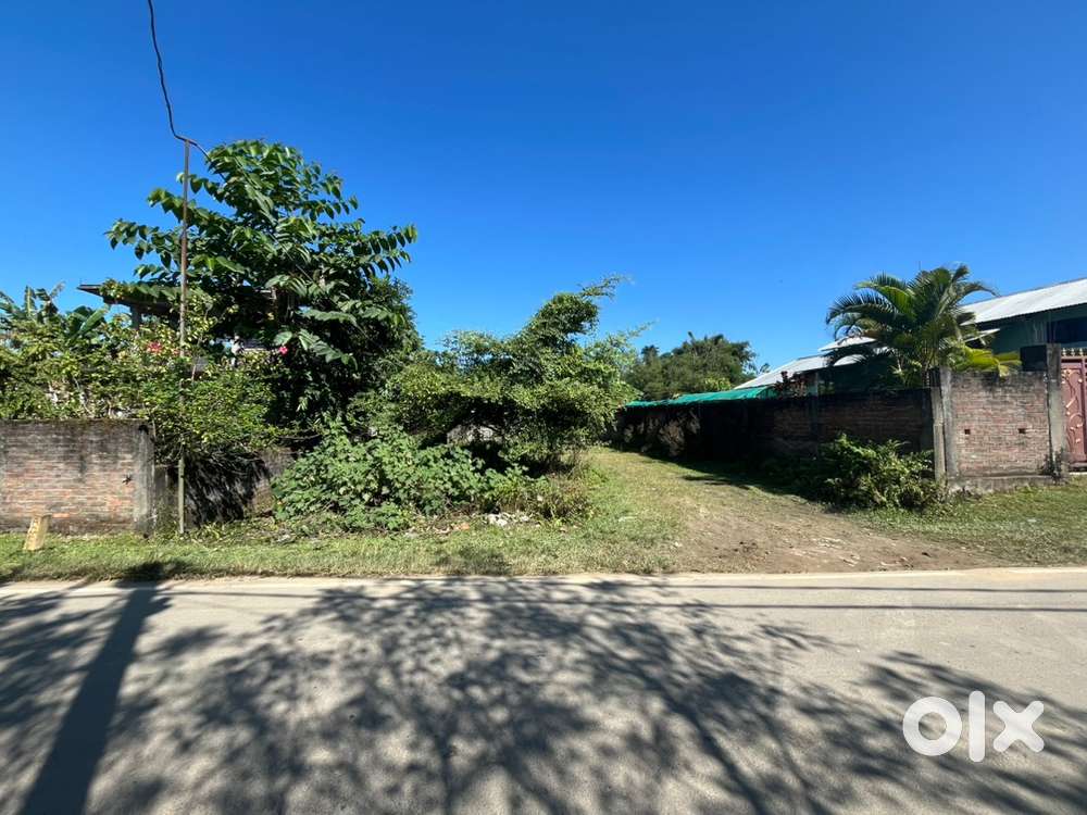 LAND FOR SALE,demow,sibsagar,lachit nagar,der kotha