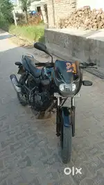 Pulser 150 2019 Model All new with all documents