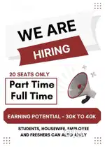 WORK WITH AMERICAN MNC
