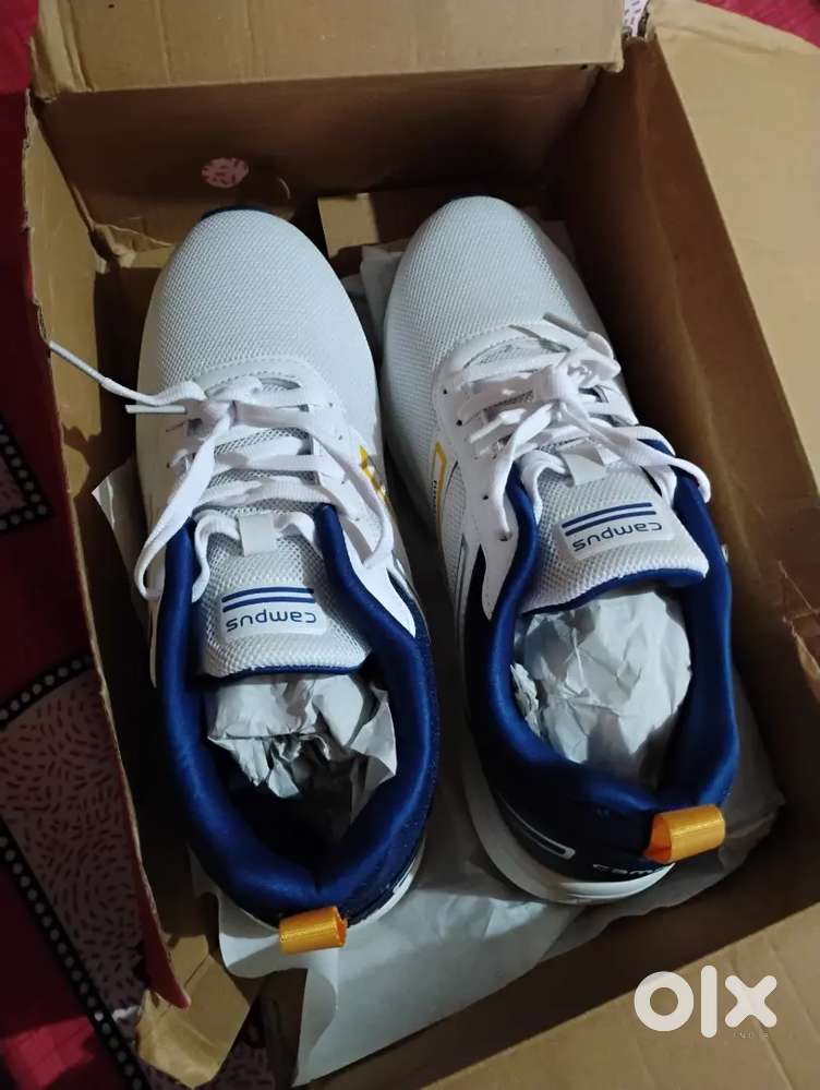 Campus beautiful and fully unused shoe for men