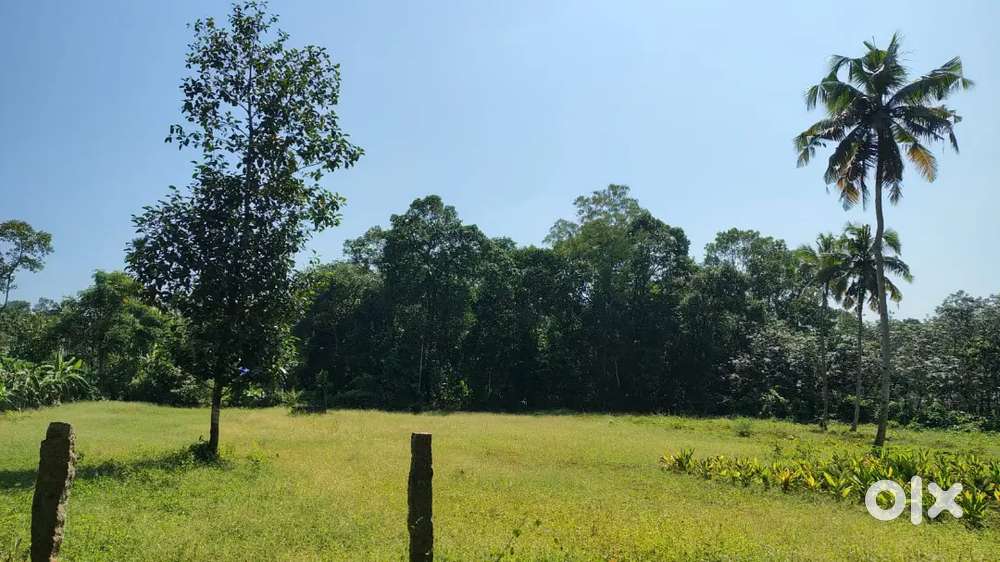 20 to 30 cent for sale near Sooranad Hospital, kollam