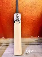 Premium Kashmir Willow Now Available!