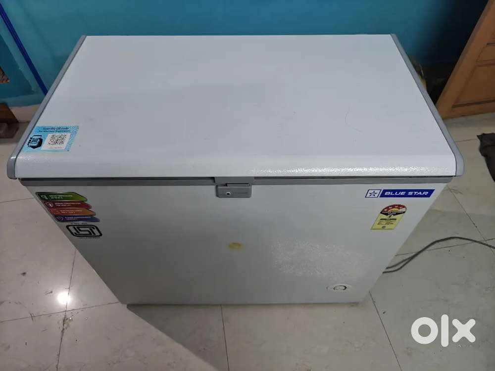 Bluestar fridge