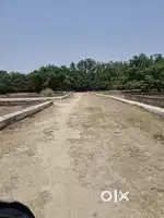 Near para city