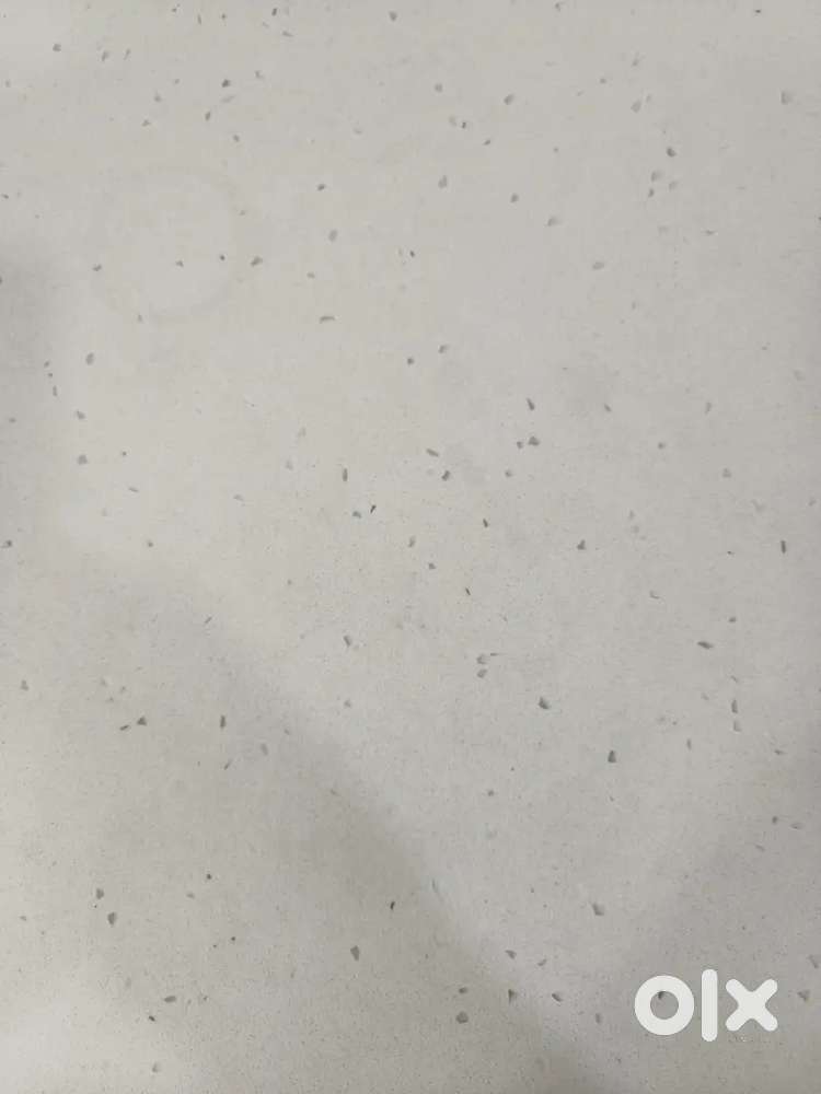 Quartz(kalinga) white marble stone white