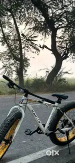Marlin Fat Bike - All Terrain