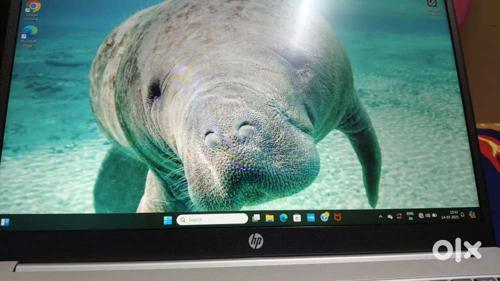 HP laptop  windows 11 16GB