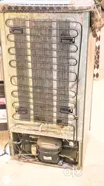 LG 5 Star Single Door Refrigerator 190 L Gross