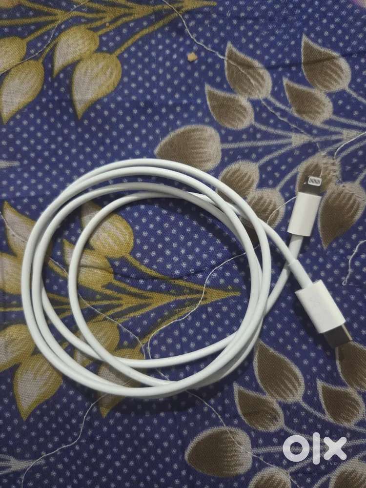 Apple Data Cable (Original)