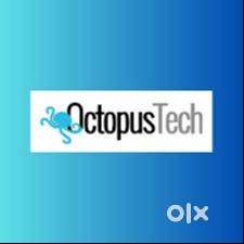 Customer Support Executive