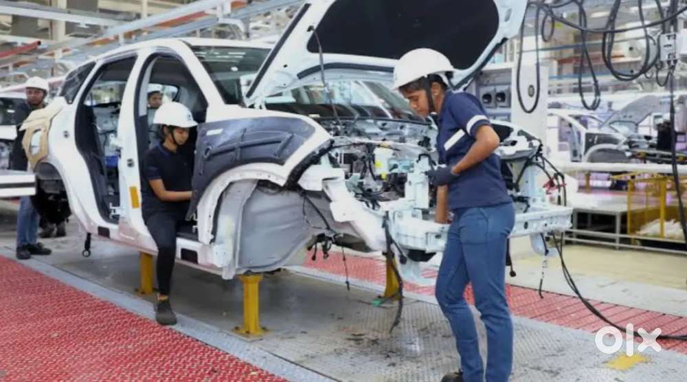 WE ARE EMPLOYING THE MALE & FEMALES FOR LOGISTICS