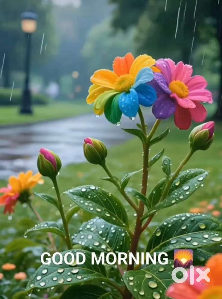 Office assistant ladies