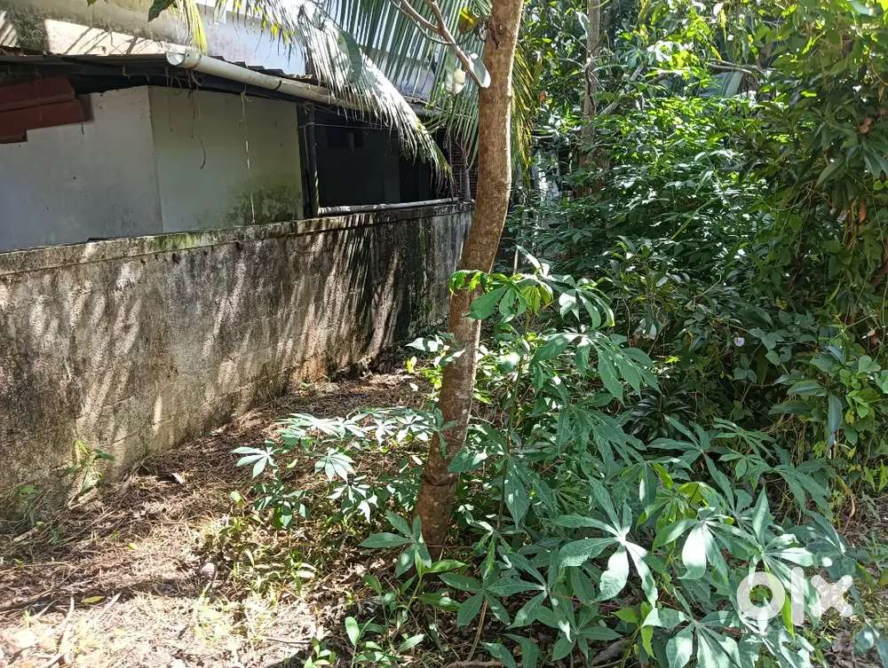 Residential Land for Sale at Naithalakkav, Kuttur, Thrissur