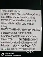 Free job in odisha