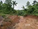 2 ACRE PLAIN LAND FOR SALE IN MANI