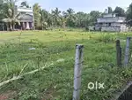13 cent plot