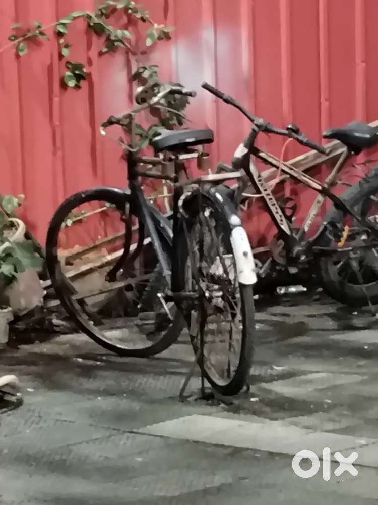Ghoda cycle
