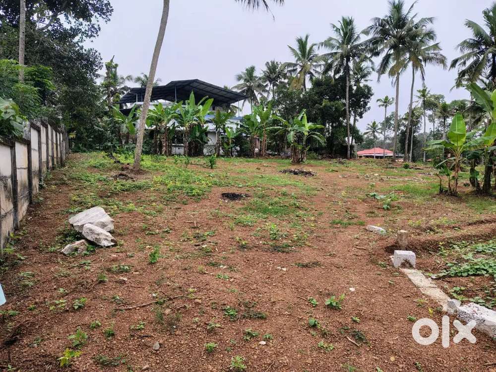 Plot for sale in veliyam,kollam district-21.5 cent
