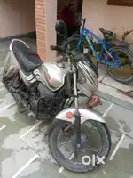 Silver Passion Pro 2011 model