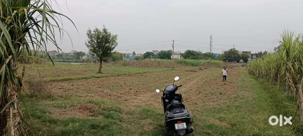 5.5 bigha land for sale in khurampur muradnagar