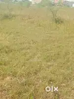 BORIA KALAN PLOTS