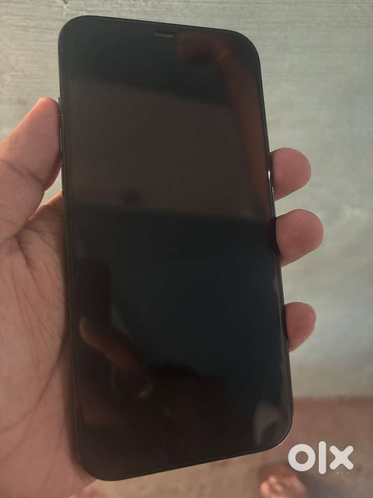 iPhone 12 Pro Max