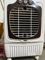Air cooler