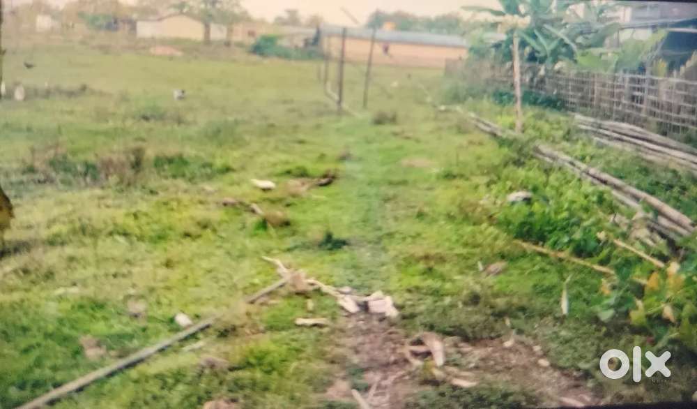 Want to sale my plot