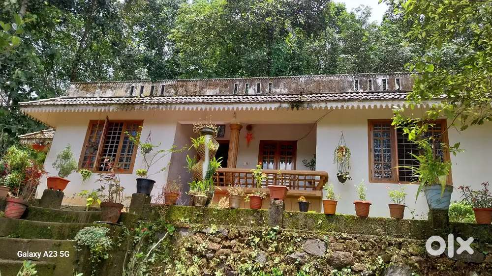 House and plot for sale