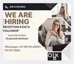 Receptionist and data followup