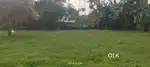 Nagaon, Chokitup 1kotha  land for sale
