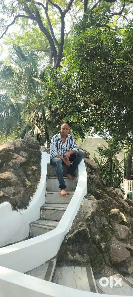 Accountant  B Com with knowledge of tally software