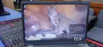 Dell Latitude 3410 Intel Core i5 10th Gen 10210U 16Gb/256Gb 14 inchFHD