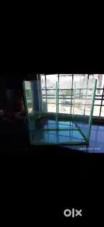 Fish tank corner
