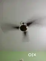 Ceiling Fan