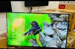 LED hi LED TV Smart WiFi Android Hotstar Amazon 1 year warranty