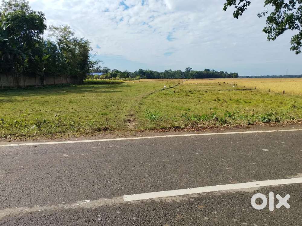 20 katha by road in Charing village, Sibsagar 4 lakh per katha