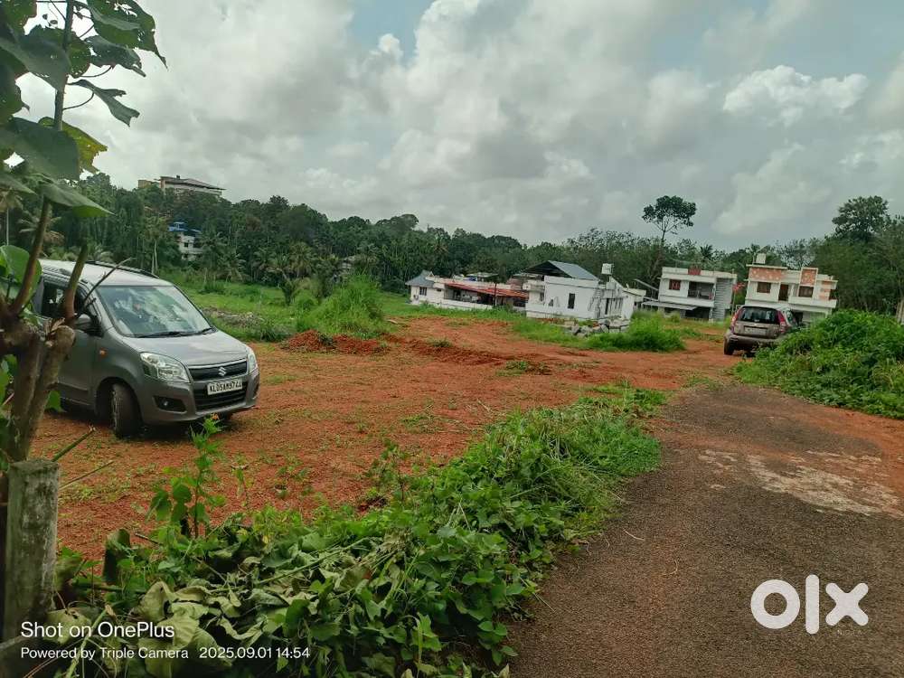 ചോറ്റാനിക്കര എരുവേലി