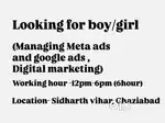 Looking for boy/girl (6hour daily)