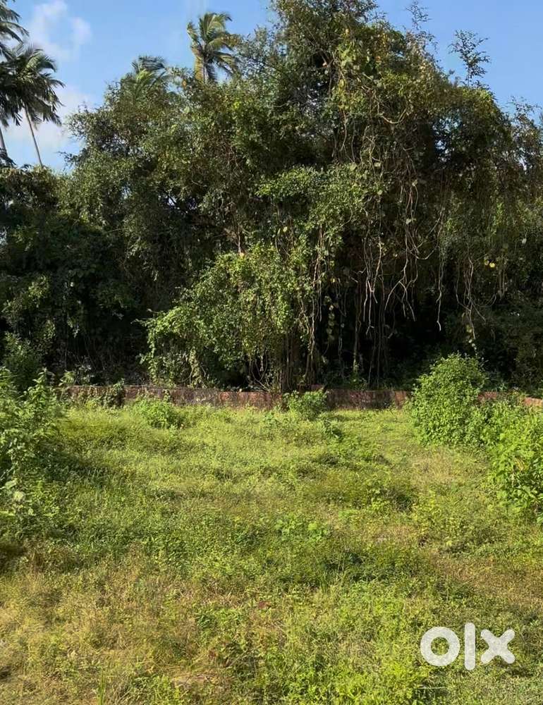 Anjuna Land For Sale With Sanad and Approval