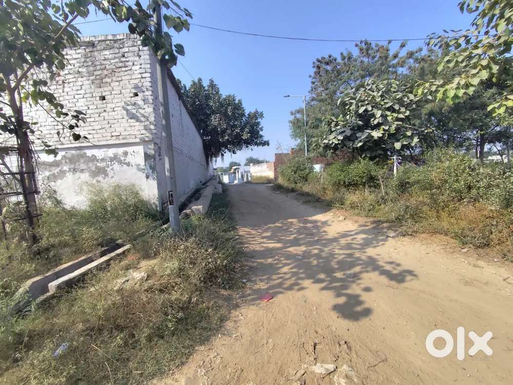 Mandir park school ke seth  me plot chiya ho ya rent par  godam  chiya