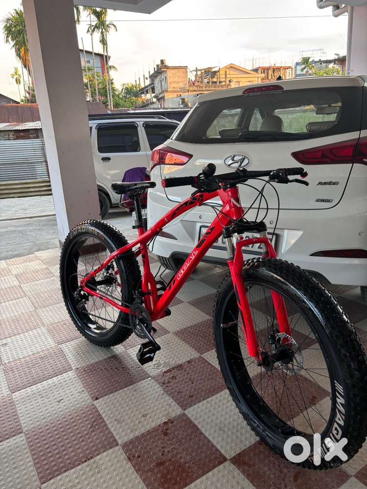 Fat bike for sale