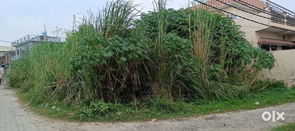 Two side open 1600 sqft plot near advent school