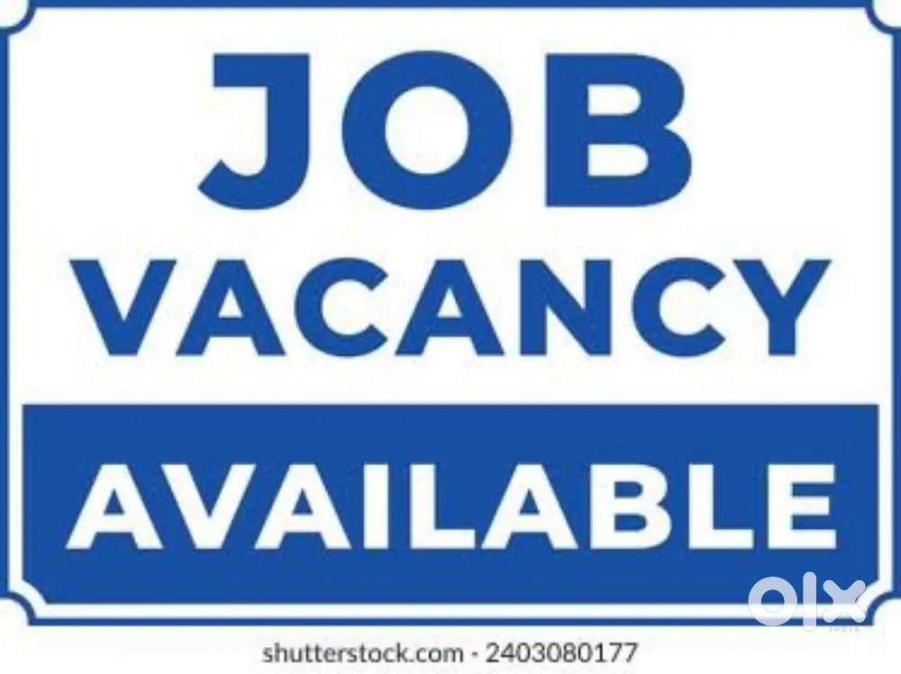 Opportunity for Freshers and Experienced