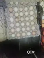 Desi eggs orginal