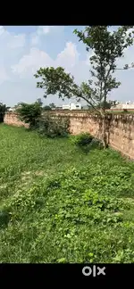 2.64 bigha land for sale near sewar - Mathura bypass